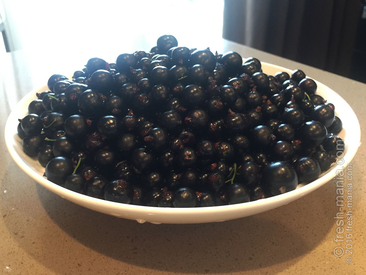 Пастила из смородины с цедрой лимона и апельсина. Полезные советы о ...