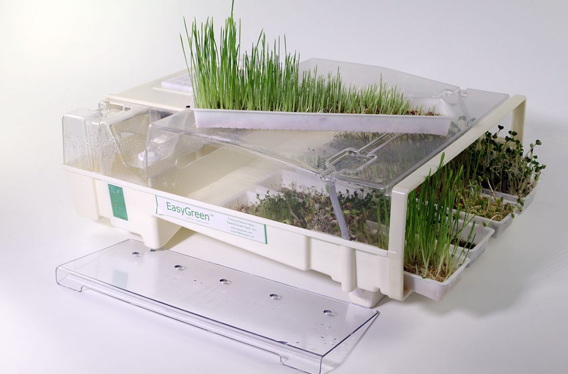 Домашний проращиватель семян: вопросы и ответы – «Фрешмания»